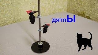 дятлЫ