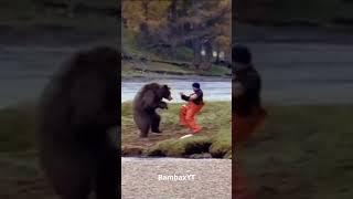 Kung-Fu bear gets in a fight with human //  #shorts #short #memes