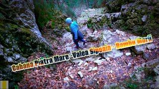 Cabana Piatra Mare -Valea Sipoaia - Dambu Morii (traseu integral)