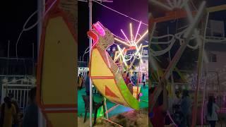 Dragon Boat Jhula masti #shortsvideo