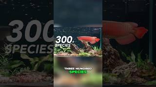 Private Tour of India’s Best Secret Aquarium