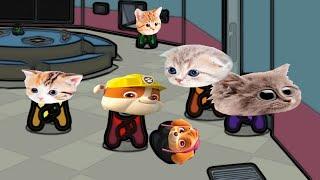 Mini Cats Crew and Paw Patrol Among Us distraction dance animation