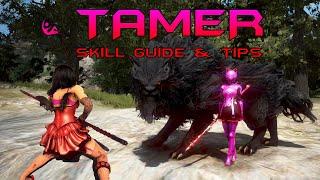 BDO Tamer Guide - Awakening - PvP, PvE, Skills - 2020