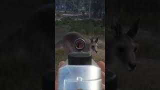 When your hunting dog finally hunts  | theHunter: Call of the Wild