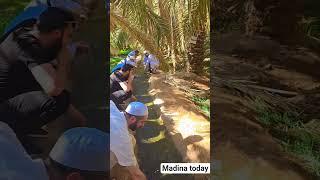 Kaabalive Umrah Madina live Makkah live naat #naatsharif #saudiarabia #makkah #madina hajj2025