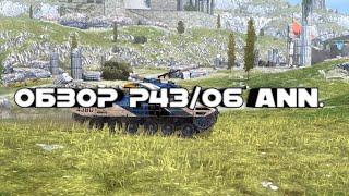 Обзор P43/06 ann.