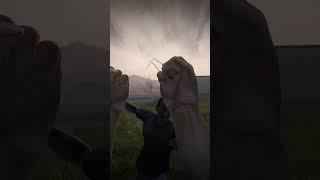 When You Get The Perfect Spawn in DayZ