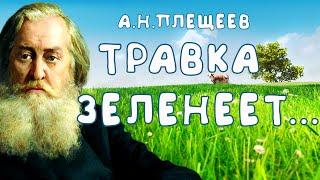 Стихотворение «Травка зеленеет, солнышко блестит» А. Н. Плещеев. Поэтическая тетрадь