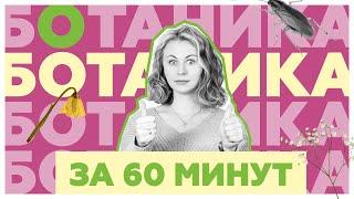 Вся ботаника за 60 минут | Ксения Напольская | ЕГЭ по Биологии