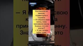 Мяу мяу  #анекдоты #шутки #приколы #ржака #юмор #смех