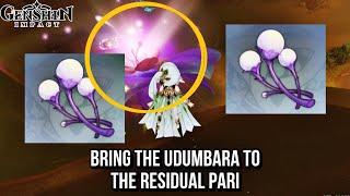 Bring the Udumbara to the residual Pari  -  3 Udumbara Pistil Location | Genshin Impact 3.6