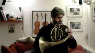 Vienna horn "domestica" joke