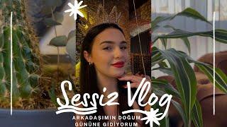 Sessiz Vlog l Salon Temizliği l Kolay Yemekler l Arkadaşımın Doğum Günü