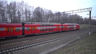 Аэроэкспресс и Ёжик #aeroexpress #stadler #train #эш2