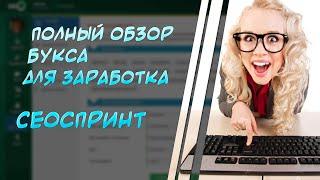 Полный обзор букса Сеоспринт (Seosprint net)