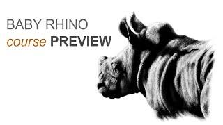 Drawing a Baby Rhino: A Step-By-Step Guide Course Preview