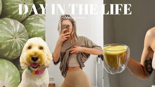 DAY IN THE LIFE | dog groomer | holistic grooming school | 9-5 workday