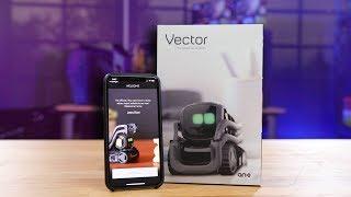 ANKI Vector Smart Robot... AI is here!