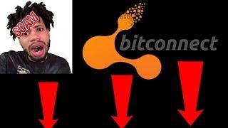 TREVON JAMES AND CRYPTO NICK F*CKED YOU( BITCONNECT SCAM)