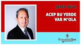 ŞEREF OĞUZ - "ACEP BU YERDE VAR M'OLA" * Köşe Yazısı Dinle *