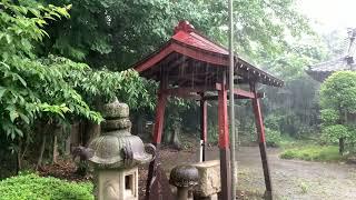 ASMR Japan Thunderstorm Rain Walk 2023.08.01 Ambience Sound Sleep Meditate Relax Tokyo Suburb