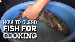 Cooking 101: How to Clean Fish for Cooking