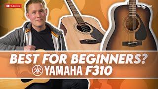 The Yamaha F310 - Is it still the best acoustic for beginners?