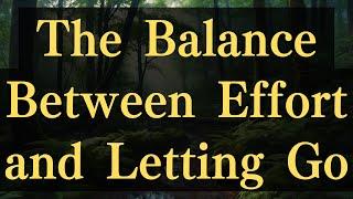 The Balance Between Effort and Letting Go #yourmonkhaku #buddhism #motivation #effort #spirituality