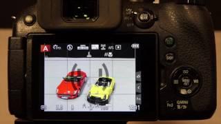 Setting Up Back Button Focus on Panasonic Cameras