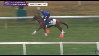 2022 11 /2 /Team/   C.  Appleby : Hores / Time Form Morden Games / /Nation Pride  Other Hores