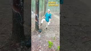 Inovasi Kebun Karet Thailand