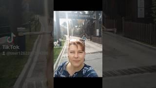 Лесная сказка
