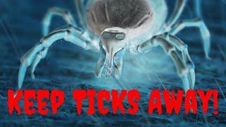 Keep Ticks Off Your Hiking Clothes! Watch Out for this Dangerous Predator