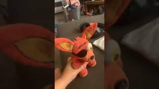 I froze my foxy plush