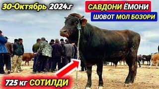 ШОВОТ ПИР МОЛ БОЗОРИ КАТТА ХЎКИЗЛАР НАРХЛАРИ САВДОЛАР 30-октября 2024 г.