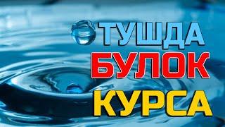 Тушда Булок курса - Tushda Buloq ko'rsa