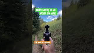 Montana springtime walk. ￼