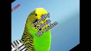 KlaskyKlaskyKlaskyKlasky Gummy Bear Song  But (Parakeet Version) [REMAKE]