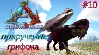 ПРИРУЧЕНИЕ ГРИФОНА | Ark Survival Evolved Выживание на карте CRYSTAL ISLES  | #19