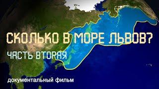 Nature of Russia. Far East. Sea of Okhotsk. Fur seal. Sea lions.