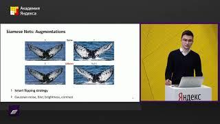 Kaggle Humpback Whale Identification: идентификация китов по изображениям  — Владислав Шахрай