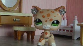 Littlest Pet Shop:Forever(Episode #1 Новенькая)