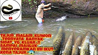 PASANG TAJUR SIDAT DI MALAM KLIWON TERNYATA BANYAK SIDAT YG KLUAR..⁉️ || EEL FISHING