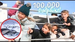 WE SAW A 100,000 DOLPHIN POD STAMPEDE WHILE WHALE WATCHING!