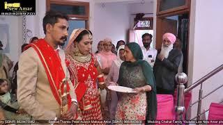 Wedding Chahal Family Live New Amar  Photography...9829299701,9829475982