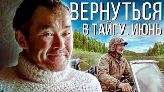 Вернуться в тайгу. Июнь | С полем!