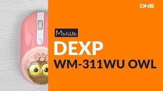 Распаковка мыши DEXP WM 311WU OWL  / Unboxing DEXP WM 311WU OWL