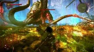 The Witcher 2 #2 - Matando Boss Kayran