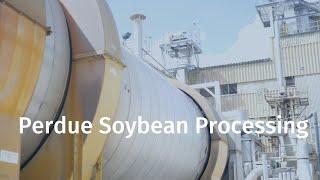 Perdue Soybean Processing