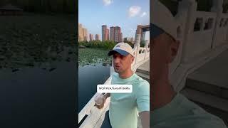 обожаю его  В комментах оставили наш мини SMM курс  #smm #маркетинг #обучение